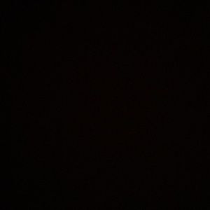 Meet your Posher, Jackson